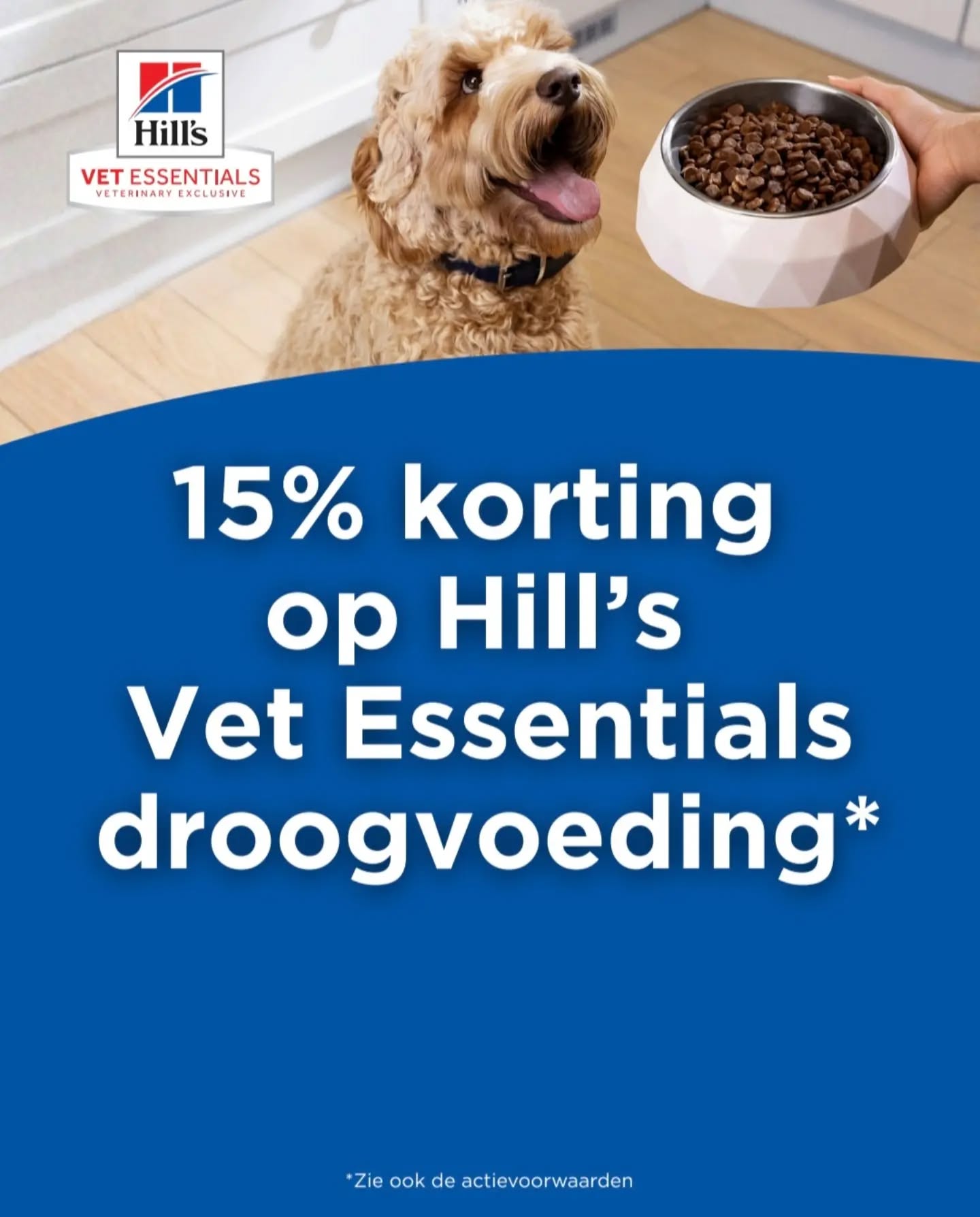 Korting voor jouw trouwe viervoeter! Goed nieuws voor alle honden- en kattenbaasjes!…