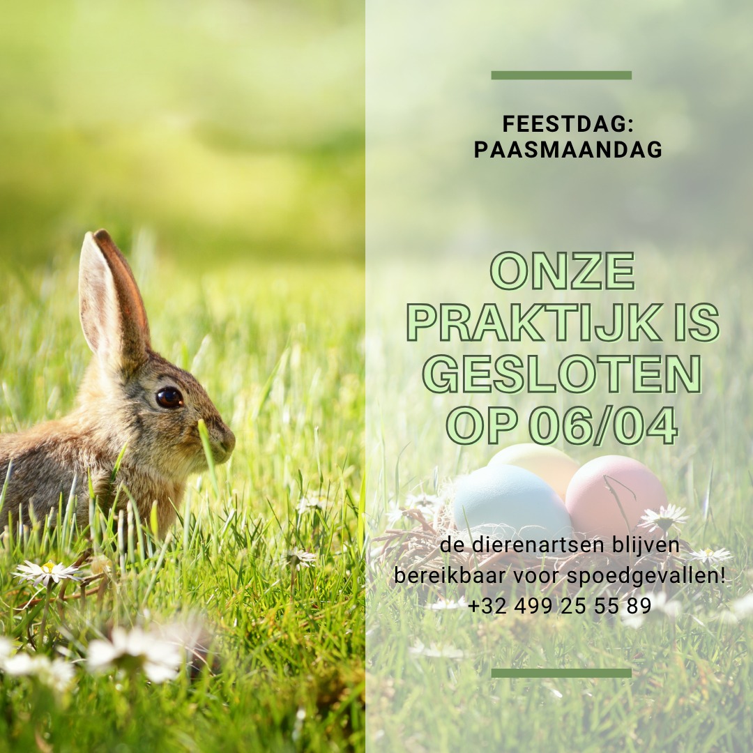Maandag 6 april is de praktijk gesloten voor routine afspraken en het…