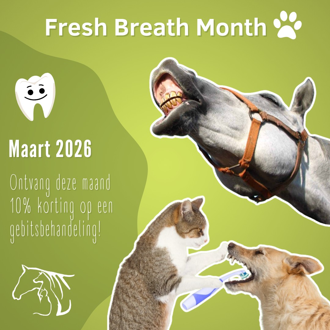 Wij doen in maart opnieuw aan FRESH BREATH MONTH! 🦷 Ontvang de…