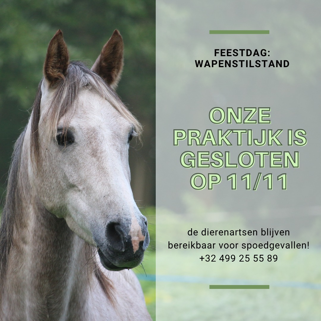 Dinsdag 11 november is de praktijk gesloten voor routine afspraken en het…