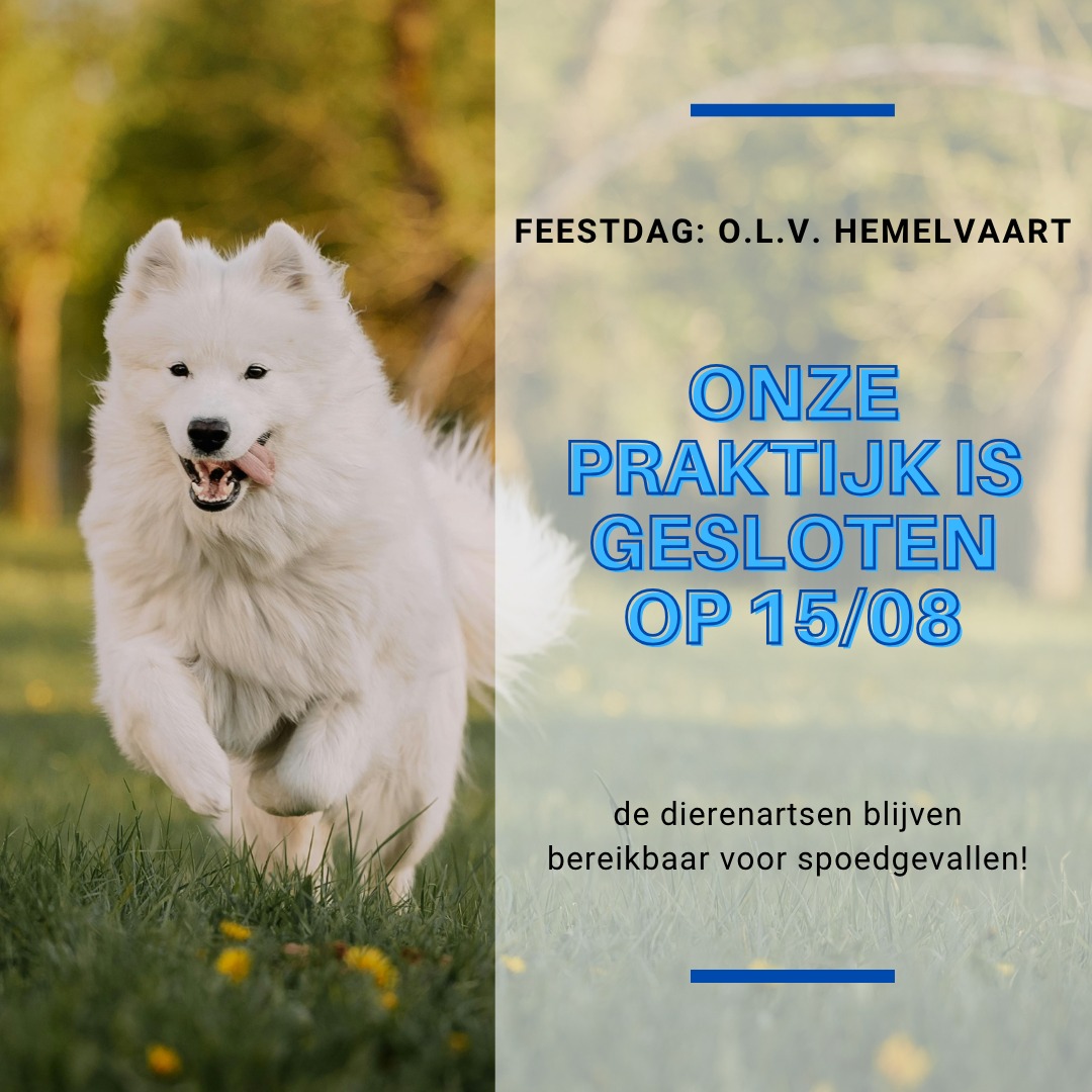 Zaterdag 15 augustus is de praktijk gesloten voor routine afspraken en het…