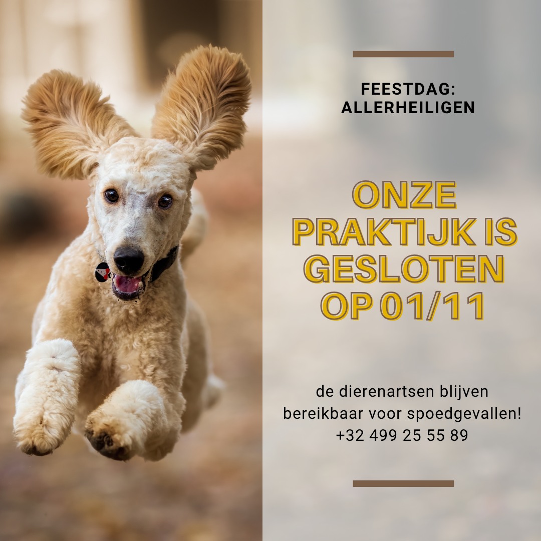 Zaterdag 1 november is de praktijk gesloten voor routine afspraken en het…
