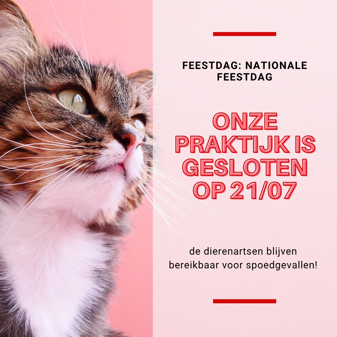 Dinsdag 21 juli is de praktijk gesloten voor routine afspraken en het…