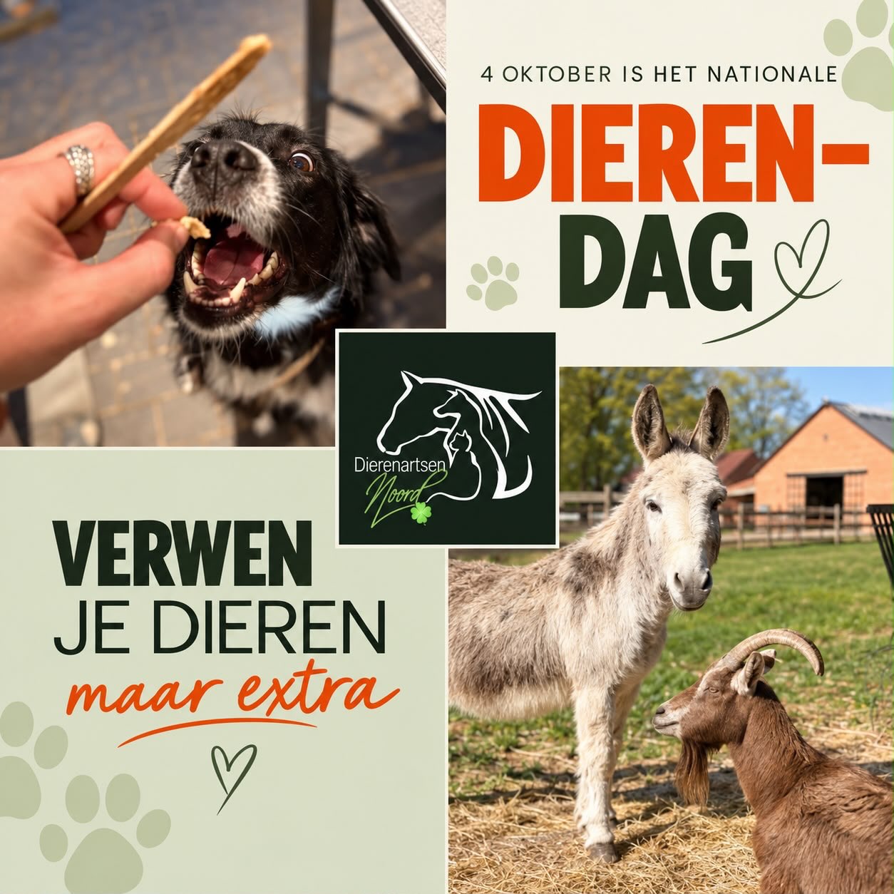 Namens ons ganse team wensen wij alle beestjes en hun baasjes een…